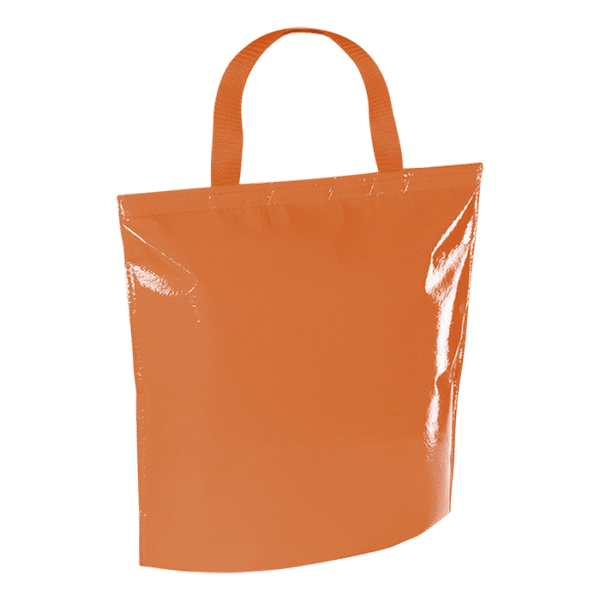 Hobart Cooler Bag