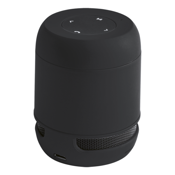Braiss Bluetooth Speaker