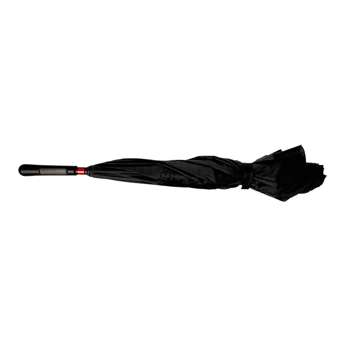 Reversible Umbrella