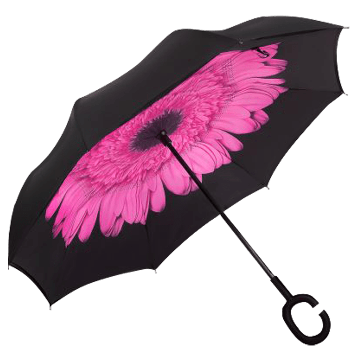 Printed Reversible Umbrella