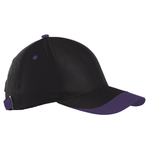 6 Panel Sway Cap