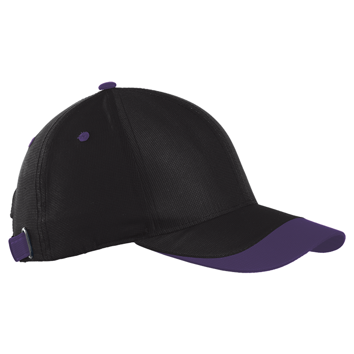 6 Panel Sway Cap
