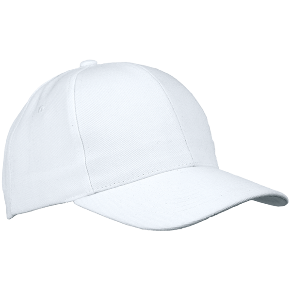 6 Panel Raven Cap