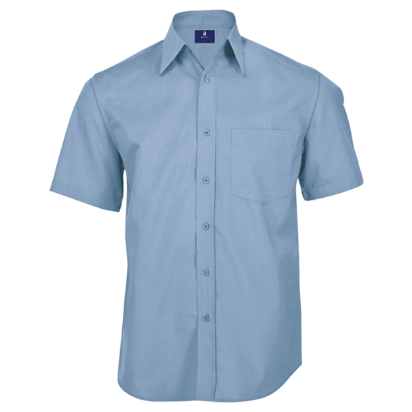 Pale Blue
