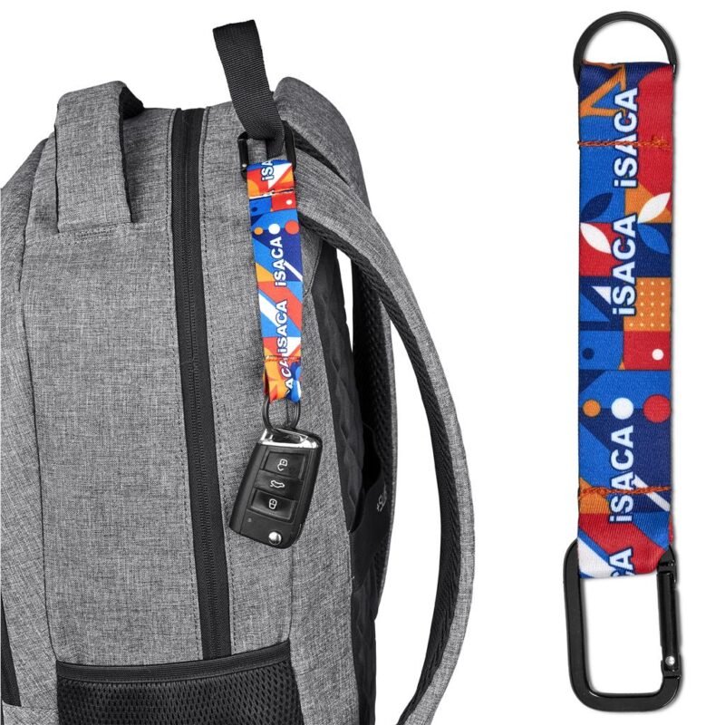 Altitude Straptique Carabiner Keyholder